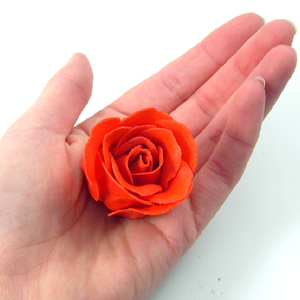 Unbranded Rose Bath Confetti