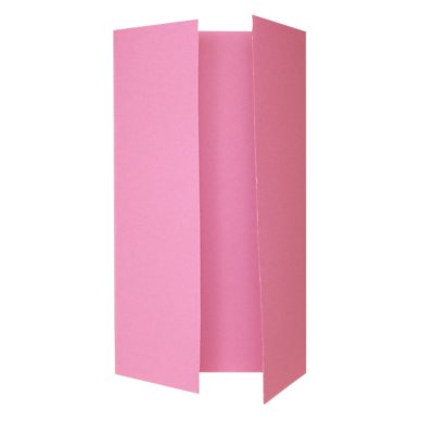 Unbranded Rose Outer Sleeve (DL Wardrobe) - 10 Pack