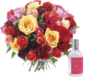 Roses and fragrances multicolour 41 roses