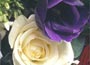 Roses and lisianthus