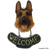 Unbranded Rotwieller Welcome Dog Sign