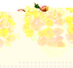 Round bouquet pastel 21 roses