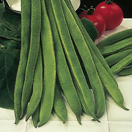 Unbranded Runner Bean Mergoles Seeds Average Seeds 65