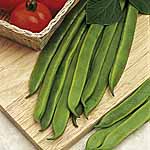 Unbranded Runner Bean Royal Standard Seeds 431373.htm