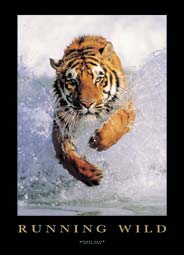 Running Wild - Tiger Keyring