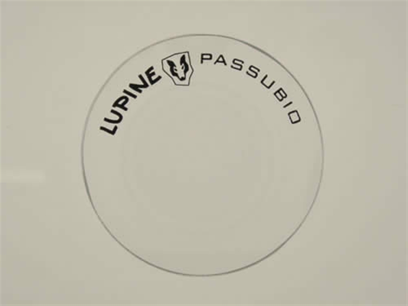 SAFETY GLASS FOR PASSUBIO