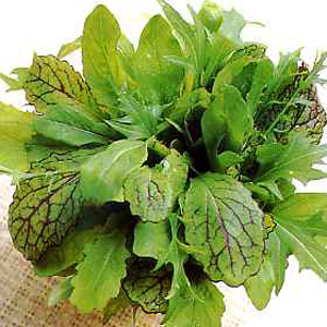 Unbranded Salad Leaves - Nice  Spicy Seeds