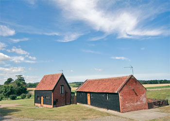 Unbranded Sallys Nest