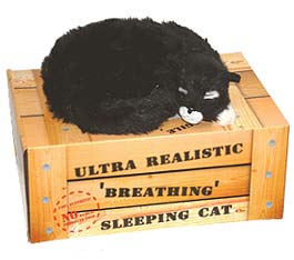 Synthetically Animated Moggy