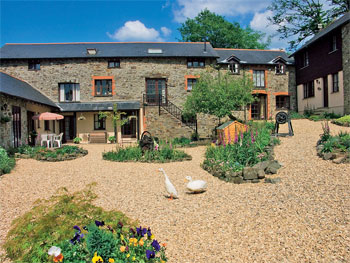 Unbranded Samuel Whiskers