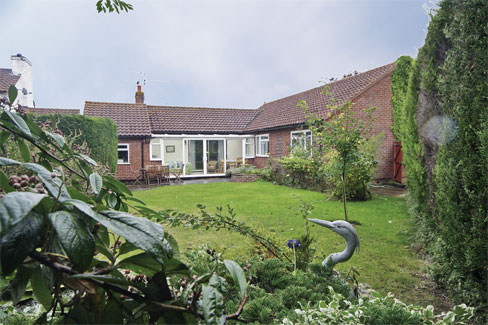 Unbranded Sandpipers