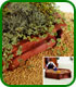 This sandpit can also be used as a planter or pond