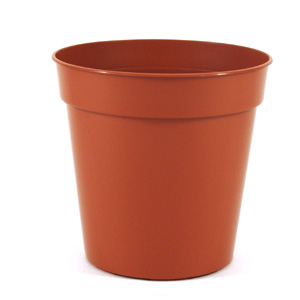 Unbranded Sankey Bulk Pot  Terracotta 5cm/2 Inch