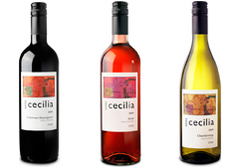 Unbranded Santa Cecilia Self-Selection Case 12-bottles of