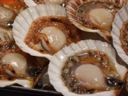 Unbranded Scallops, large, chilled