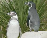 Scarborough SEA LIFE & Marine Sanctuary