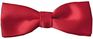 Scarlet Red Narrow Bow Tie