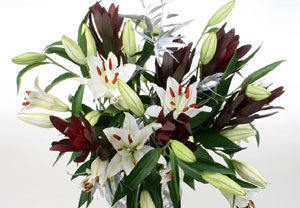 Unbranded Scented Lily and Leucadendron Bouquet
