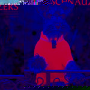 Schnauzer - Miniature Calendar