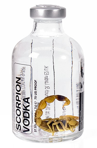 Unbranded Scorpion Vodka (250ml bottle)