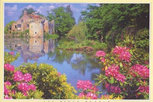 Cardboard jigsaw puzzle