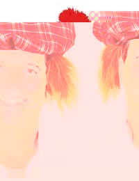 Unbranded Scottish Hat - Tam O Shanter with Hair