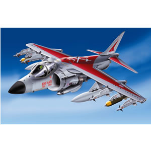 Unbranded Sea Harrier FA2 800 NAS 1:48