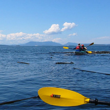 Protected from the open ocean and rich in marine wildlife, the Gulf Islands near Vancouver are sea-k