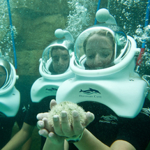 Unbranded SeaVenture at Discovery Cove - SeaVenture