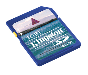 Unbranded Secure Digital (SD) Memory Card - 1GB - Kingston - LOWEST UK PRICE!