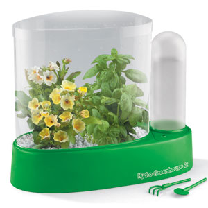 Self Contained Childrens Greenhouse