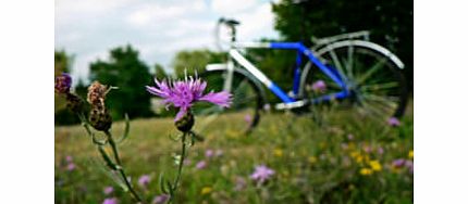 Self-Guided Cycle Tour for Two