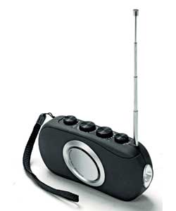Self Powered Black AM/FM Radio/Torch