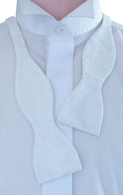 Unbranded Self-Tie Silver Sparkle Bow Tie