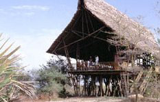 Selous Game Reserve and Mafia Island holiday