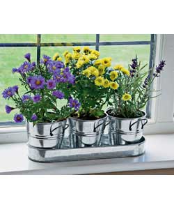 Unbranded Set Of 3 Galvanised Steel Pots with Tray