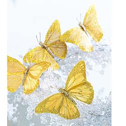 Set of 4 Butterfly Decorations