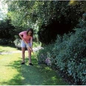 Unbranded Shadelawn 10kg