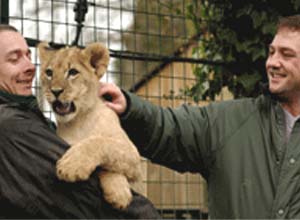 Unbranded Shadowing a zoo keeper for a day experience