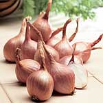 Unbranded Shallot Bulbs: French Delvad 174107.htm