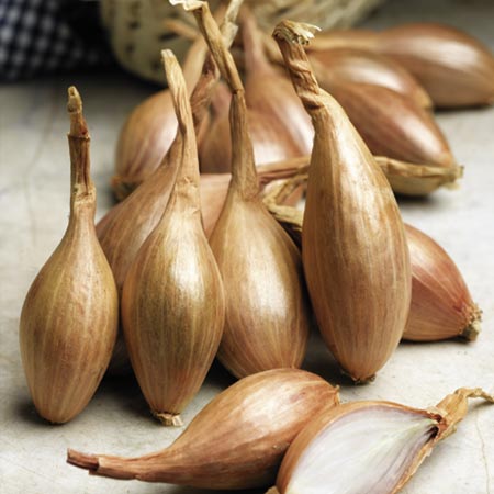 Unbranded Shallot Bulbs Jermor - French 400g Pack