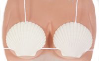 For mermaids and hawaiian beauties.  A bikini top fashioned from scallop shells