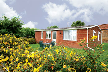 Unbranded Shepherds Hut