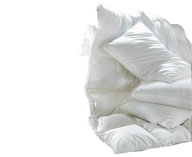 Unbranded Siberian Goosedown Kingsize Pillow