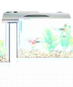 Unbranded SICCE Moby Dick 25 Litre Tropical Aquarium - Silver