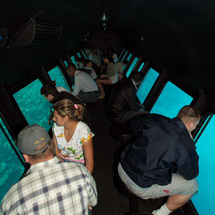 Sinbad Submarine Under the Red Sea - Adult