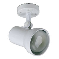 Single Switched Spotlight 100W