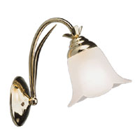 Single Wall Light With Glass Brass Effect