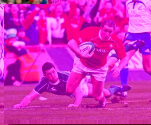 Unbranded Six Nations / Wales v Ireland