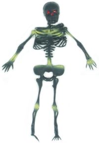 Skeleton 12 inch assorted colours